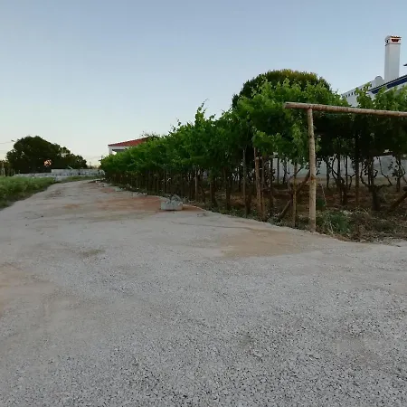 Casa Agricola Dos Avos Εξοχικό σπίτι